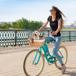 Väike looma transpordikorv jalgrattale Soodukas.Com