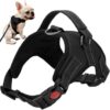 Pressure-free dog harness S Soodukas.Com