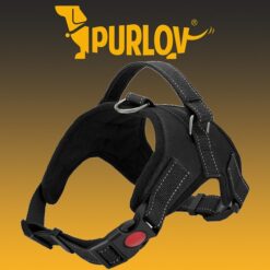 Pressure-free dog harness S Soodukas.Com