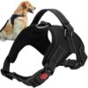 Pressure-free harness for dogs M Soodukas.Com