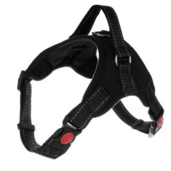Pressure-free harness for dogs M Soodukas.Com