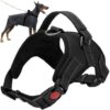 Pressure-free dog harness L Soodukas.Com