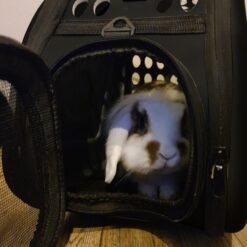 Carrier - bag for dog/cat - black Soodukas.Com