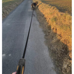 Automaatne koerarihm 8m/50kg Soodukas.Com