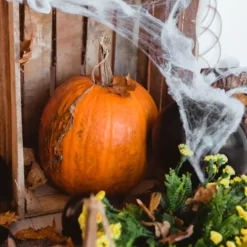 Halloweeni ämblikuvõrk ämblikega Soodukas.Com