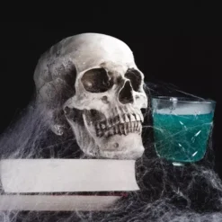 Halloweeni ämblikuvõrk ämblikega Soodukas.Com