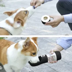 Koera reisipudel kausiga – Soodukas.Com Koera reisipudel kausiga Soodukas.Com