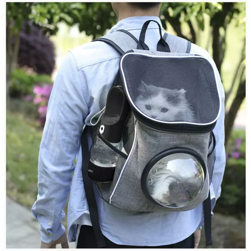 Koera reisipudel kausiga – Soodukas.Com Koera reisipudel kausiga - Image 14