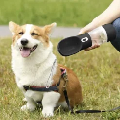 Koera reisipudel kausiga – Soodukas.Com Koera reisipudel kausiga Soodukas.Com