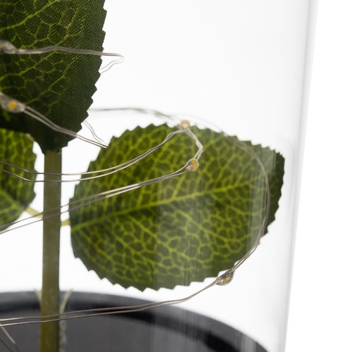 Valgustusega roos klaaskuplis – Soodukas.Com Valgustusega roos klaaskuplis - Image 11