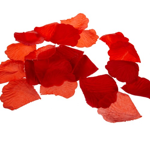 Valgustusega roos klaaskuplis – Soodukas.Com Valgustusega roos klaaskuplis - Image 14