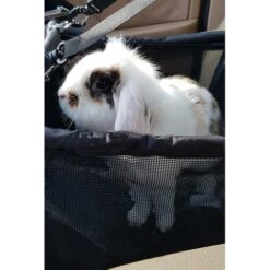 Turvaline autosõidukott lemmikule Soodukas.Com