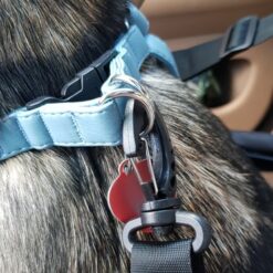 Turvaline autosõidukott lemmikule Soodukas.Com