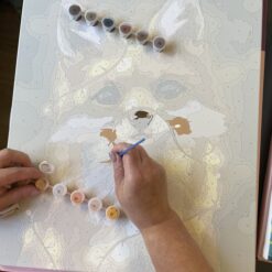 Numbritega maalimise komplekt Soodukas.Com