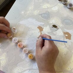 Numbritega maalimise komplekt Soodukas.Com