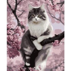 Numbritega maalimise komplekt 40x50 Soodukas.Com