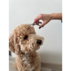 Koera karvahoolduse kääride komplekt Soodukas.Com