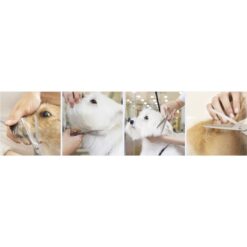 Koera karvahoolduse kääride komplekt Soodukas.Com