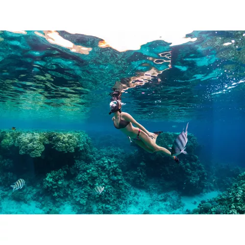 Täisnäomask snorgeldamiseks S/M – Soodukas.Com Täisnäomask snorgeldamiseks S/M - Image 10