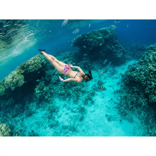 Täisnäomask snorgeldamiseks S/M – Soodukas.Com Täisnäomask snorgeldamiseks S/M - Image 12