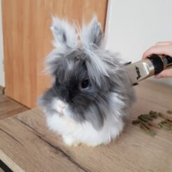 Vaikne lemmiklooma karvalõikur Soodukas.Com