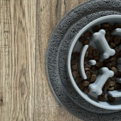 Libisemiskindel kausialus lemmikule Soodukas.Com