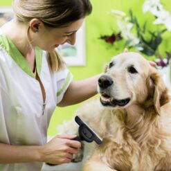 Lemmiklooma aluskarva harja Soodukas.Com