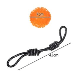 10-osaline koera mänguasjakomplekt Soodukas.Com