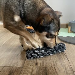 10-osaline koera mänguasjakomplekt Soodukas.Com