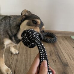 10-osaline koera mänguasjakomplekt Soodukas.Com