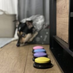 Koera suhtlusnuppude komplekt – Soodukas.Com Koera suhtlusnuppude komplekt Soodukas.Com