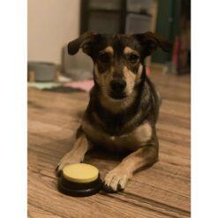 Koera suhtlusnuppude komplekt – Soodukas.Com Koera suhtlusnuppude komplekt Soodukas.Com