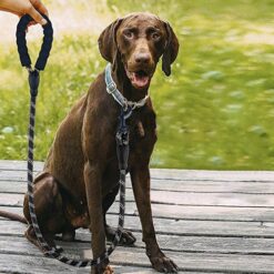 Helkiv koerarihm 3 m – Soodukas.Com Helkiv koerarihm 3 m Soodukas.Com