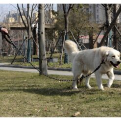 Helkiv koerarihm 3 m – Soodukas.Com Helkiv koerarihm 3 m Soodukas.Com