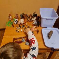 Loomafiguuride komplekt kohvris Soodukas.Com