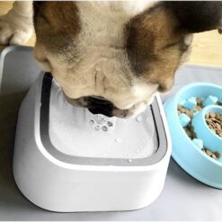 Mittepritsiv veekauss lemmikloomale + kokkupandav reisikauss – Soodukas.Com Mittepritsiv veekauss lemmikloomale + kokkupandav reisikauss Soodukas.Com