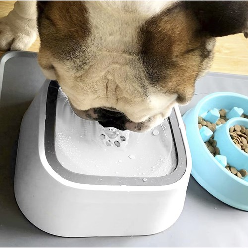 Mittepritsiv veekauss lemmikloomale + kokkupandav reisikauss – Soodukas.Com Mittepritsiv veekauss lemmikloomale + kokkupandav reisikauss - Image 7