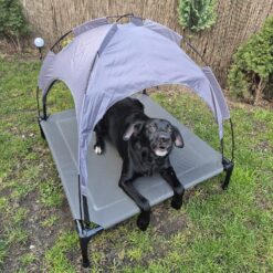 Tõstetud koeravoodi katusega Soodukas.Com