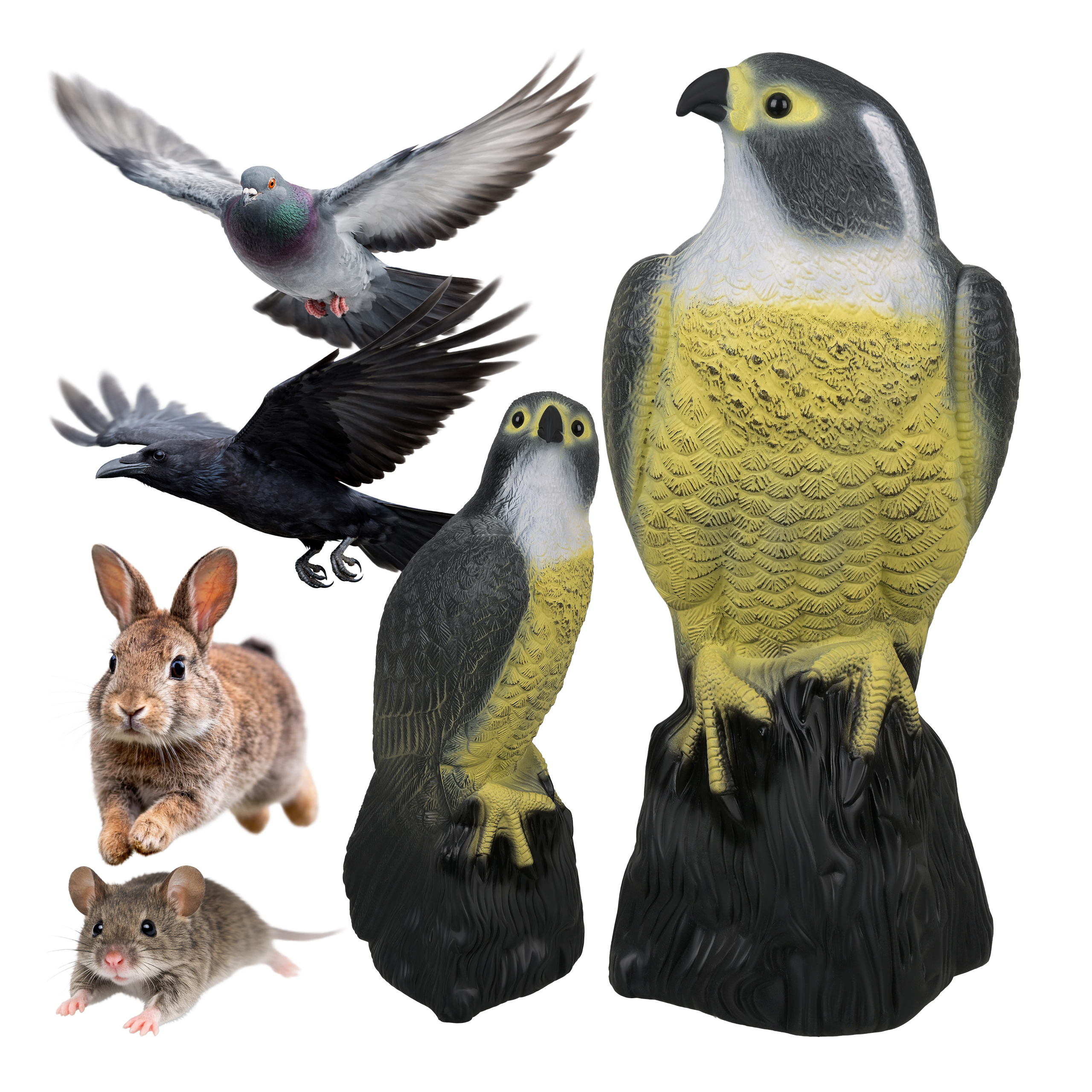 Linnupeletaja pistrik – Soodukas.Com Linnupeletaja pistrik