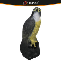 Linnupeletaja pistrik – Soodukas.Com Linnupeletaja pistrik Soodukas.Com