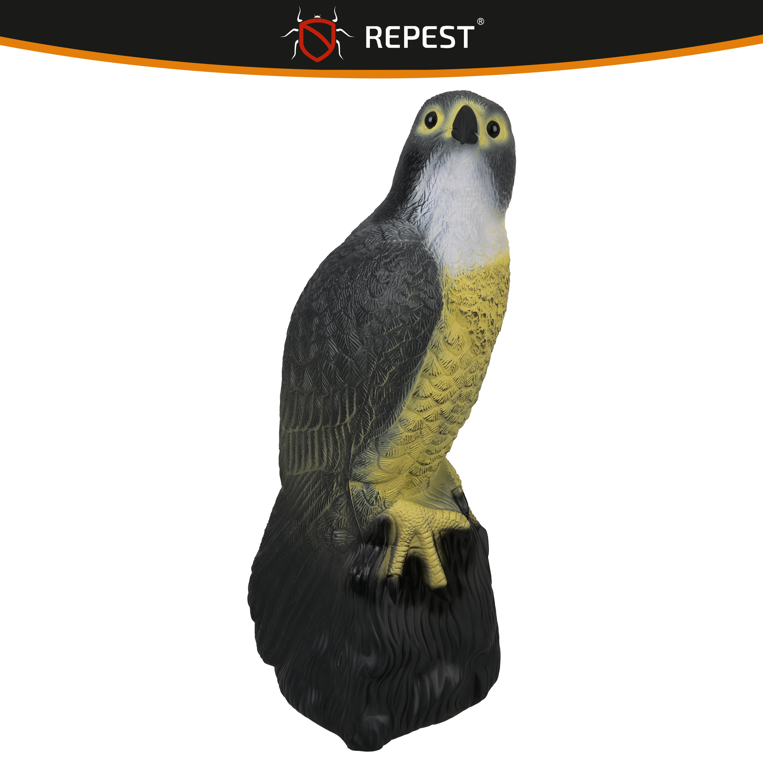 Linnupeletaja pistrik – Soodukas.Com Linnupeletaja pistrik - Image 7