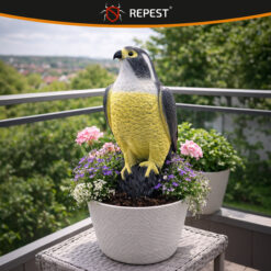 Linnupeletaja pistrik – Soodukas.Com Linnupeletaja pistrik Soodukas.Com