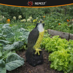 Linnupeletaja pistrik – Soodukas.Com Linnupeletaja pistrik Soodukas.Com