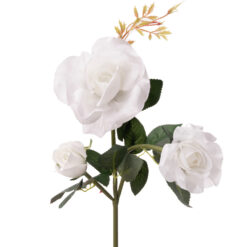 Päikesepatareiga aia rooslamp – Soodukas.Com Päikesepatareiga aia rooslamp Soodukas.Com