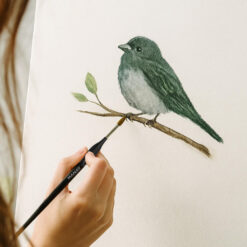 Kunstniku pintslikomplekt koos alusega Soodukas.Com