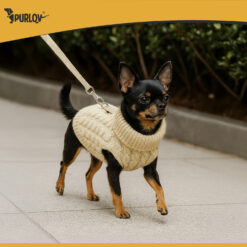 Lemmiklooma soe kampsun suurus S – Soodukas.Com Lemmiklooma soe kampsun suurus S Soodukas.Com