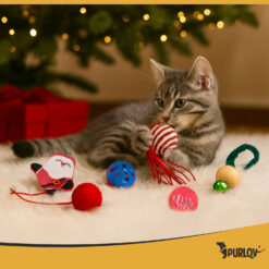 Kassimänguasjade komplekt Soodukas.Com