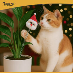 Kassimänguasjade komplekt Soodukas.Com