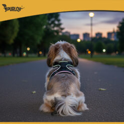 Survevabad rakmed lemmikloomale Soodukas.Com