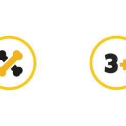 5-ühes dinosauruste väljakaevamiskomplekt lastele Soodukas.Com